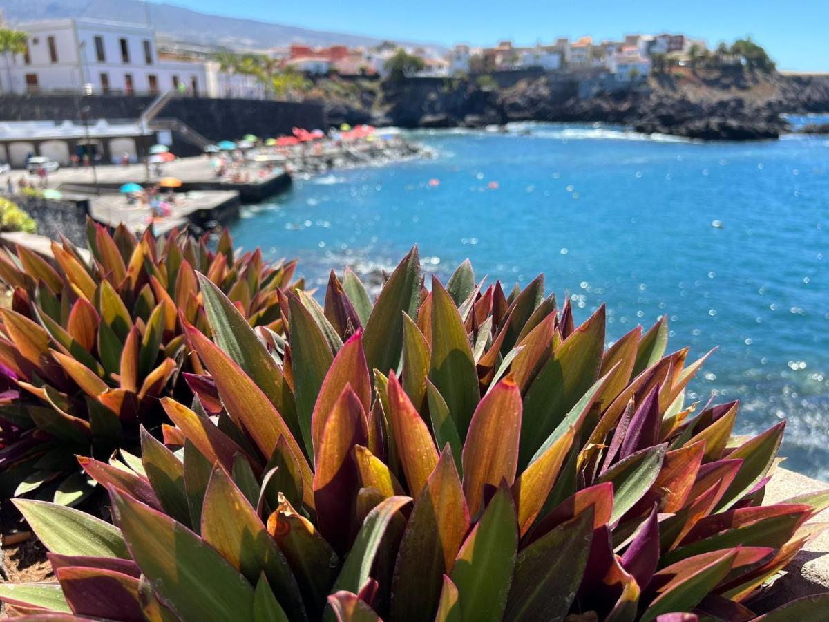 Homestay Alcamar Privada Con Bano Compartido Cerca Al Mar! Alcala (Tenerife)